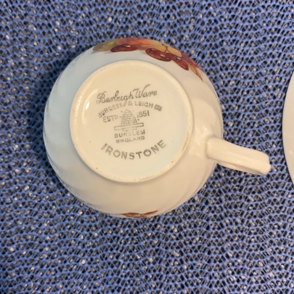 Burleigh Ware Fruit Decorated Cup Saucer Ironstone